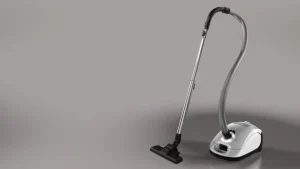Aufnahme Staubbeutel