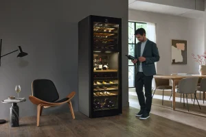 KWT 4999 F Obsidianschwarz Glas