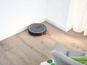 RX1 Seitenbürsten
