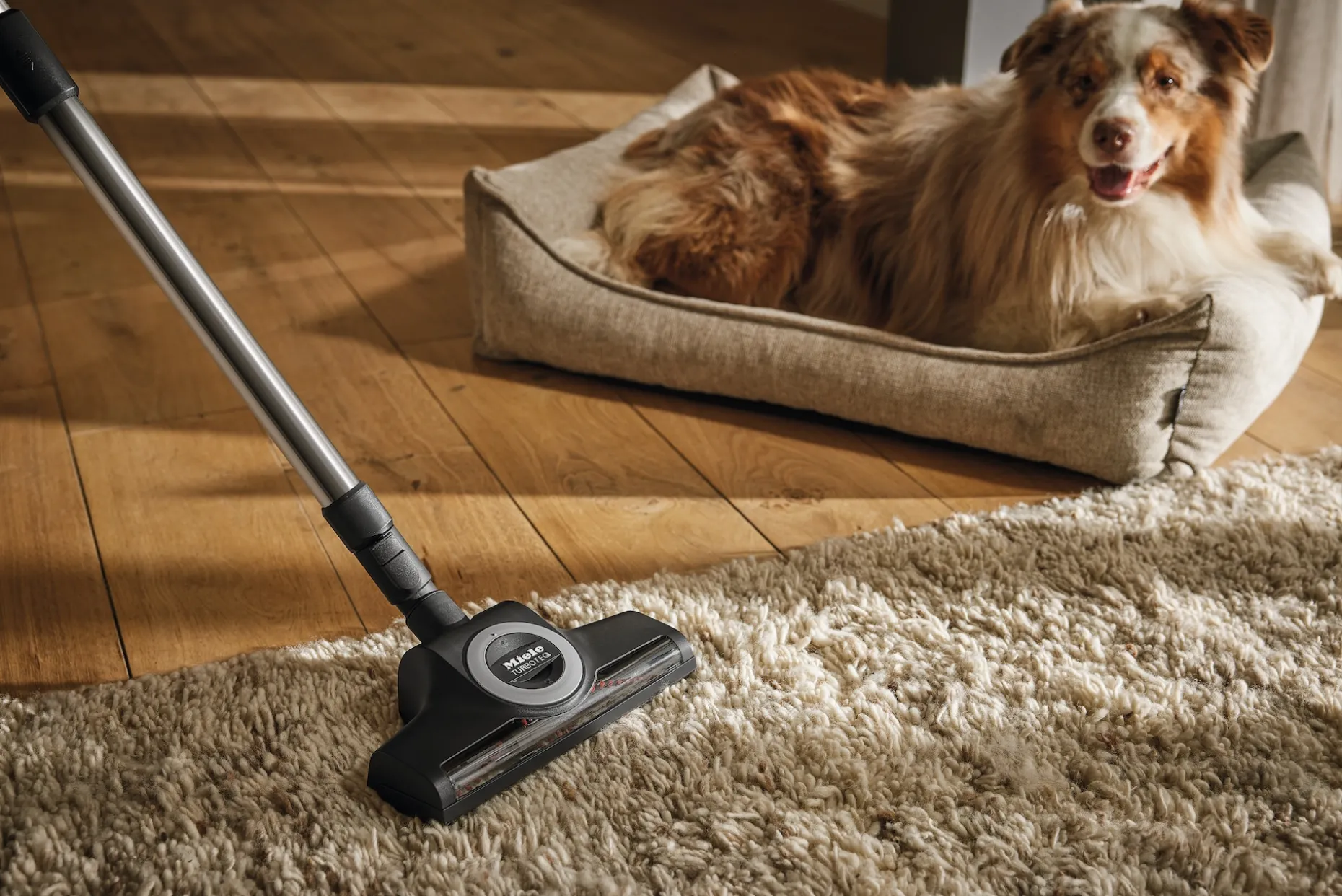 zubehrkoffer_petcare_3.webp Zubehörkoffer PetCare