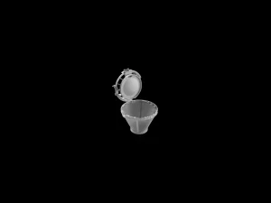 Mikrofeinfilter
